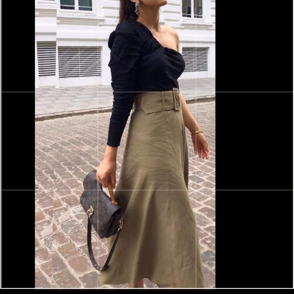 Zara Dresses & Skirts - Zara belted midi skirt Nwt bloggers favorites xxl